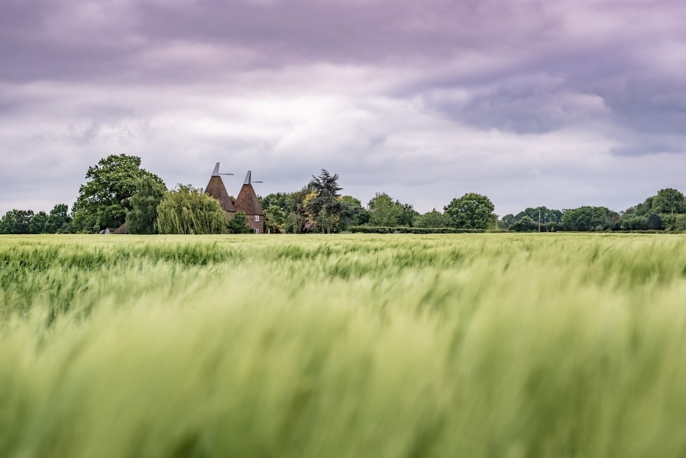 Tonbridge under threat from plan to build 2,600 houses in village